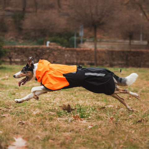 Non-stop Fjord Raincoat 2.0 Orange