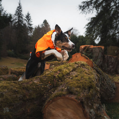Non-stop Fjord Raincoat 2.0 Orange