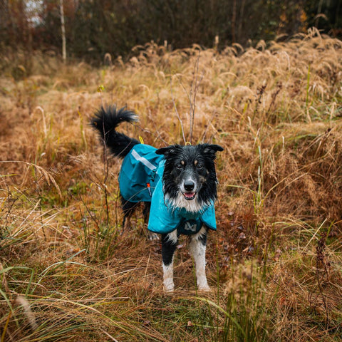 Non-stop Fjord Raincoat 2.0 Teal