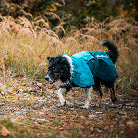 Non-stop Fjord Raincoat 2.0 Teal