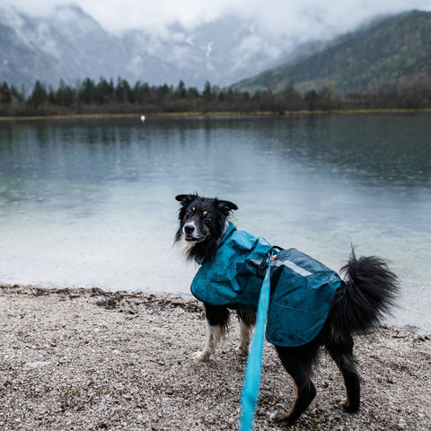 Non-stop Fjord Raincoat 2.0 Teal