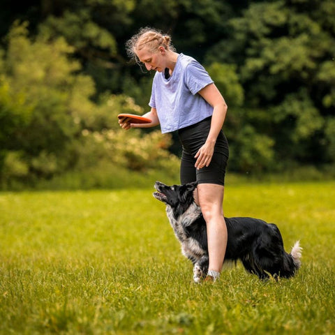 Non-stop Flying Disc