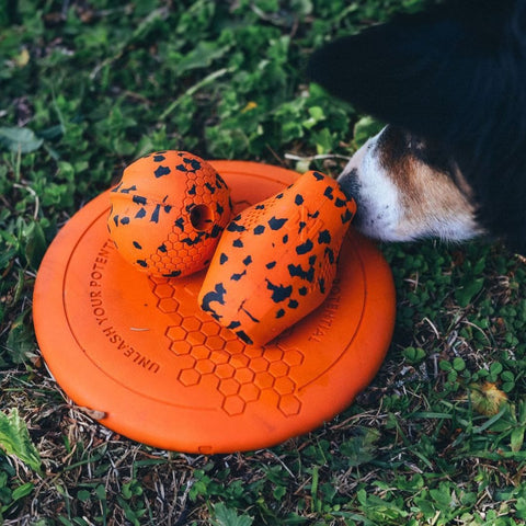 Non-stop Flying Disc