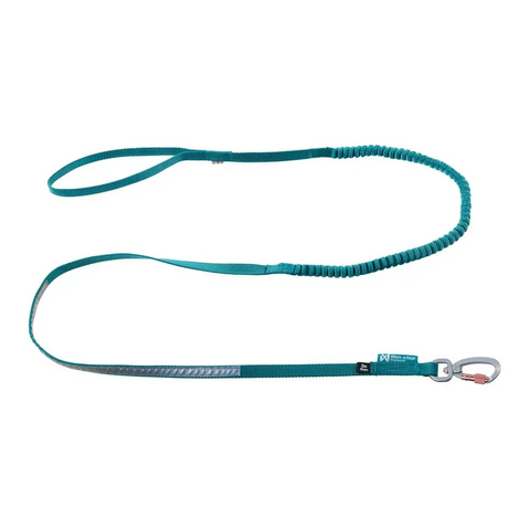 Non-stop Touring Bungee Leash Teal