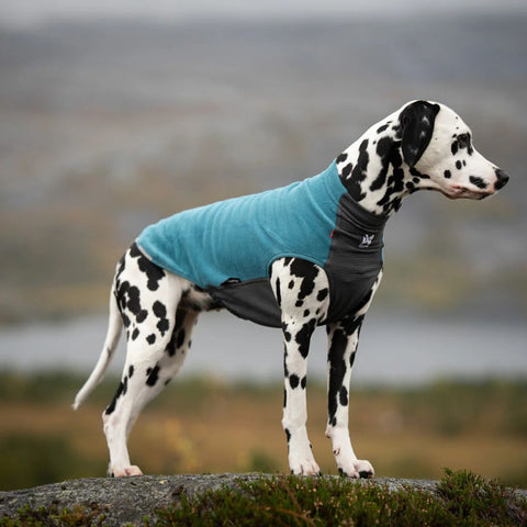 Non-stop Trail Quest Fleece Pullover