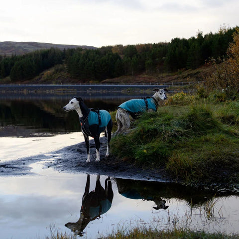 Non-stop Trail Quest Fleece Pullover