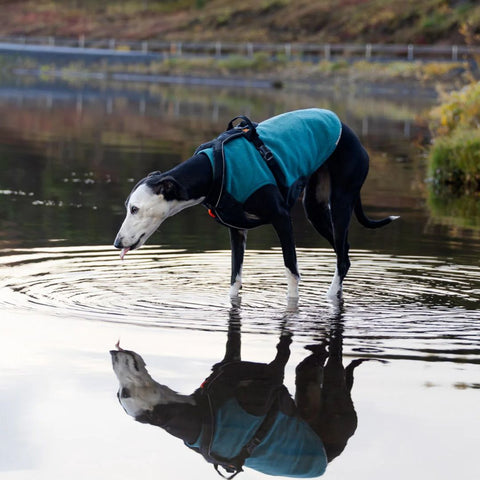 Non-stop Trail Quest Fleece Pullover
