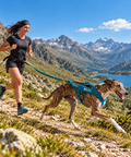 Non-stop dogwear Canix Kit Teal