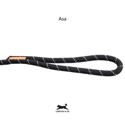 Non-stop Rock Leash