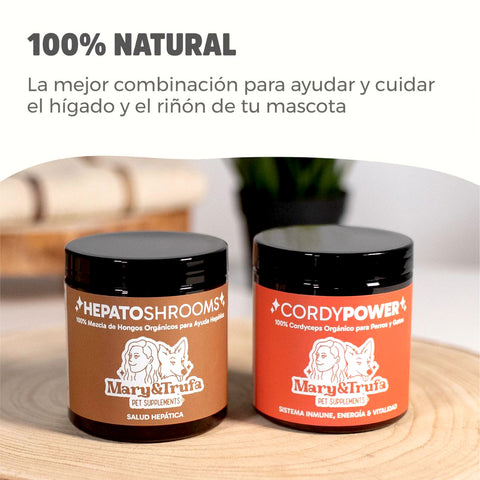 Nuevo Pack Senior - Reishi Longevity (75 gr) + Inmuno Chaga (75 gr)
