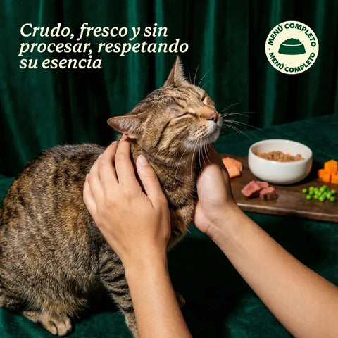 WildBalance Cat BARF - Menú de Conejo 1kg