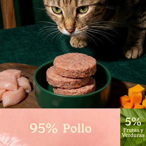 WildBalance Cat BARF - Menú de Pollo 1kg