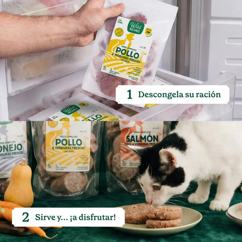 WildBalance Cat BARF - Menú de Pollo 1kg