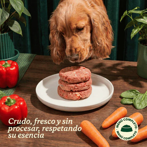 WildBalance Dog BARF - Menú Iniciación de Pollo 1kg