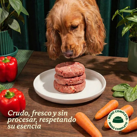 WildBalance Dog BARF - Menú de Pollo