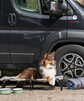 Pastor australiano de camping con el comedero Trixie Ready for Adventure