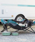 Border collie con el comedero de esmalte Trixie Ready for Adventure en una acampada