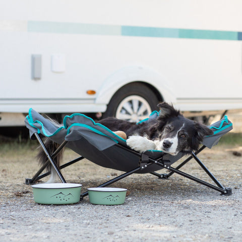 Border collie con el comedero de esmalte Trixie Ready for Adventure en una acampada
