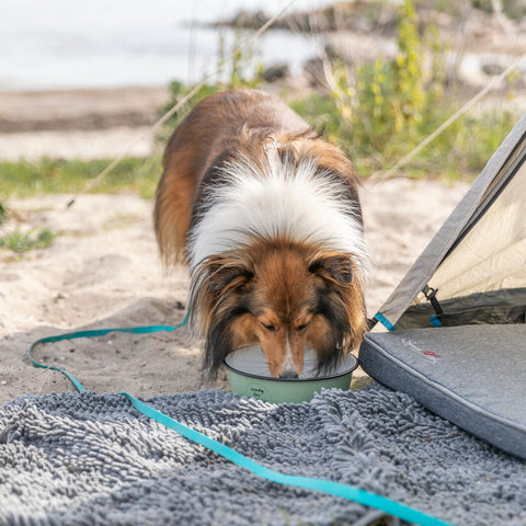 Perro bebiendo agua en el comedero de esmalte Trixie Ready for Adventure en la playa