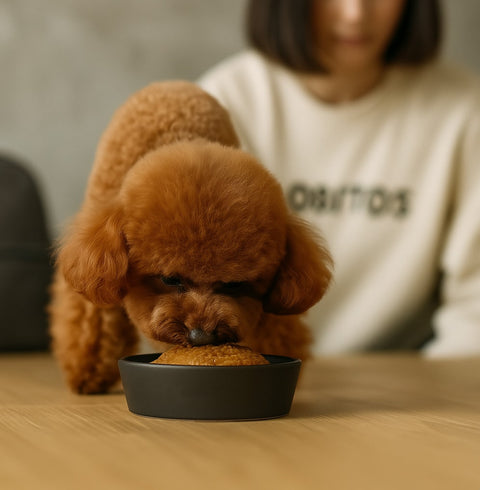 Paté con trozos Atún&Bacalao 400g