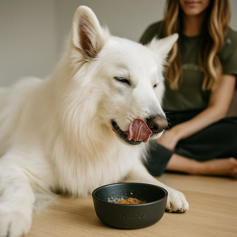 Paté con trozos Atún&Pollo 400g
