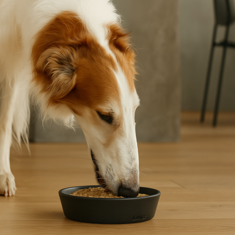 Paté con trozos Buey 400g