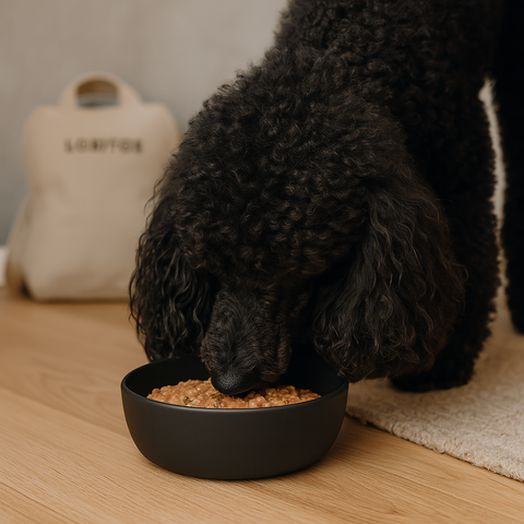 Paté con trozos Conejo 400g