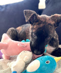 Freedog Peluche con Sonido Fantasy Dino para Perros