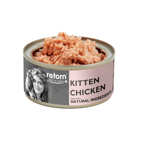 Retorn Cat Kitten Pollo