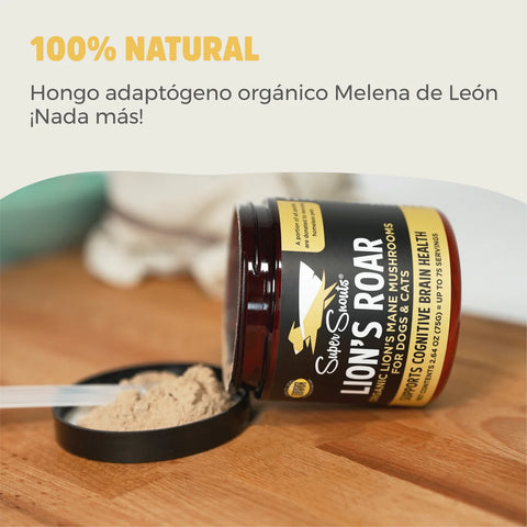 Super Snouts Lion's Roar (Melena de león)