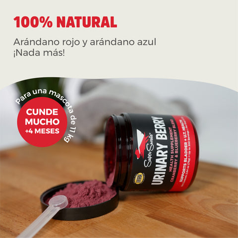 Super Snouts Urinary Berry 75g