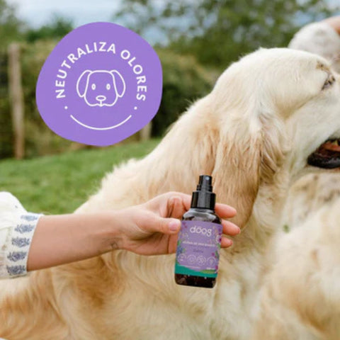 The Doog Life Bruma On The Go Violeta 100ml