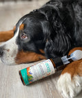 Recarga del limpiador de almohadillas ecológico The Doog Life para perros y gatos