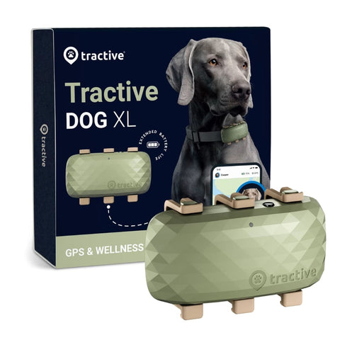 Tractive - GPS Dog XL Verde