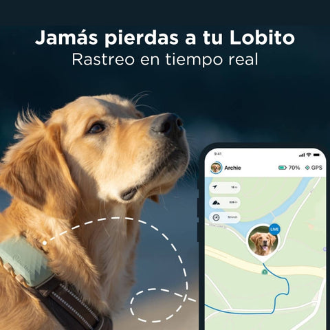 Tractive - GPS Dog XL Verde