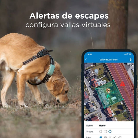 Tractive - GPS Dog XL Verde