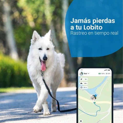 Tractive GPS Azul