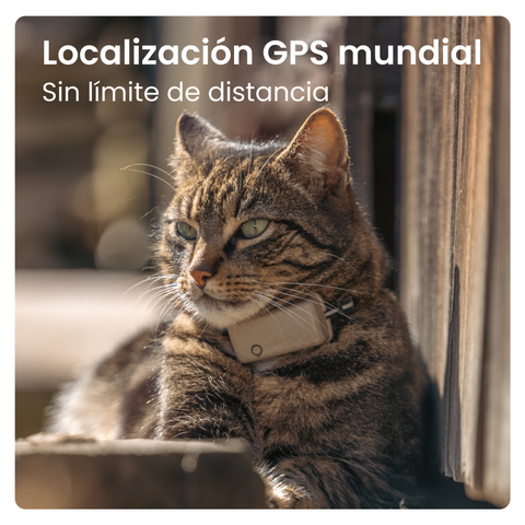 Tractive - GPS Cat Mini Beige