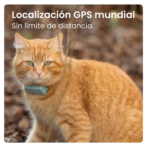 Tractive - GPS Cat Mini Menta