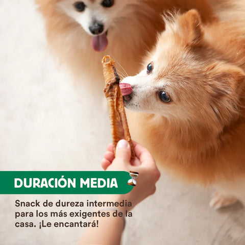 WildBalance Tráqueas de Cordero