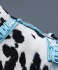 Non-stop Trekking Line Harness CLIP'N™ - Ice Blue