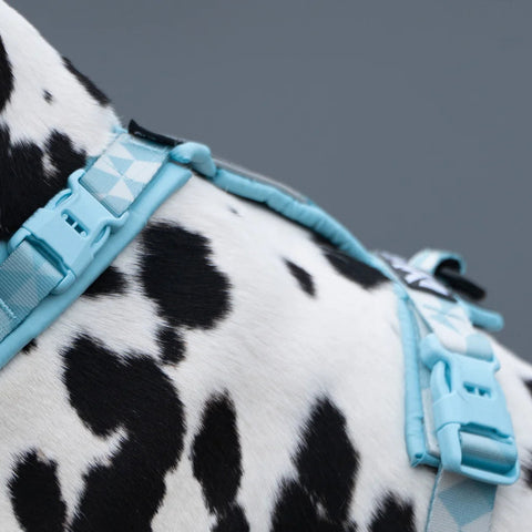 Non-stop Trekking Line Harness CLIP'N™ - Ice Blue