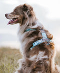 Non-stop Trekking Line Harness CLIP'N™ - Ice Blue