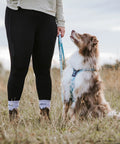 Non-stop Trail Quest Leash - Ice Blue 15mm/2m
