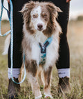 Non-stop Trekking Line Harness CLIP'N™ - Ice Blue