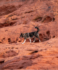 Non-stop Trekking Line Harness CLIP'N™ - Sand