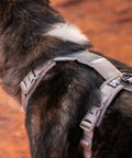 Non-stop Trekking Line Harness CLIP'N™ - Sand