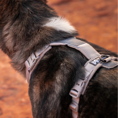 Non-stop Trekking Line Harness CLIP'N™ - Sand