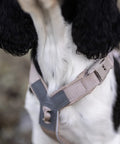 Non-stop Trekking Line Harness CLIP'N™ - Sand