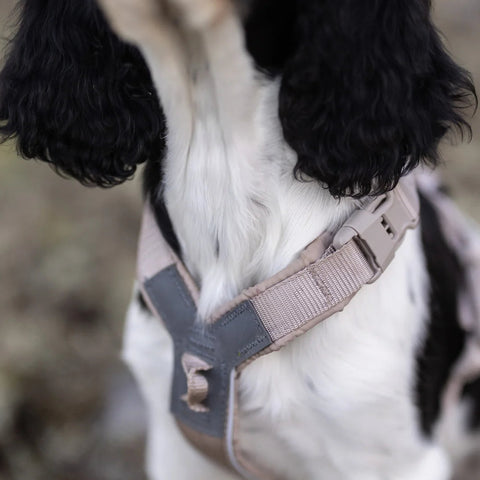 Non-stop Trekking Line Harness CLIP'N™ - Sand